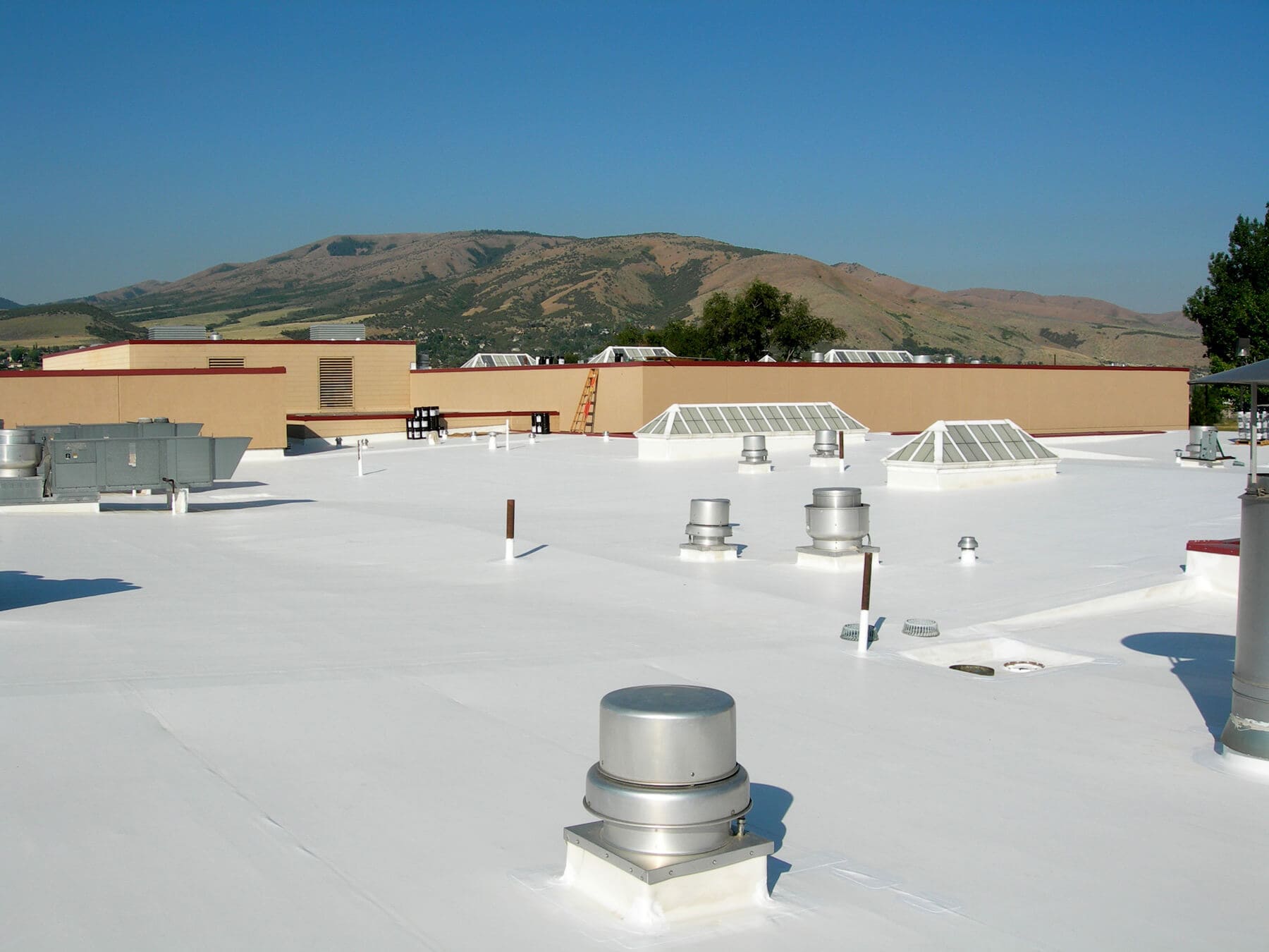 Roof Coating in Covington